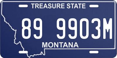 MT license plate 899903M