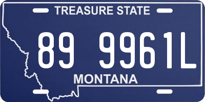 MT license plate 899961L