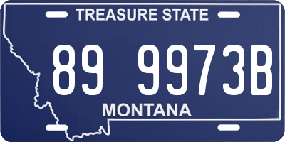 MT license plate 899973B
