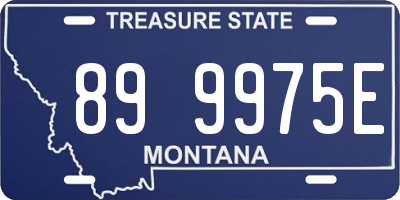 MT license plate 899975E