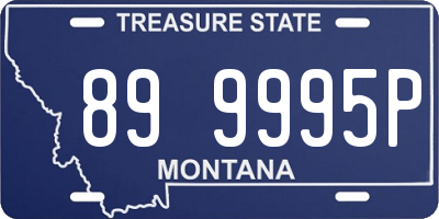 MT license plate 899995P