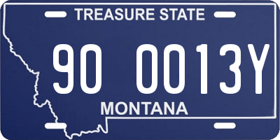 MT license plate 900013Y