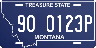 MT license plate 900123P