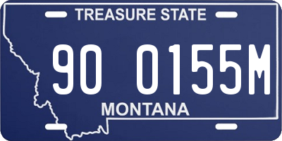 MT license plate 900155M