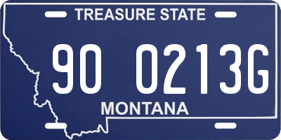 MT license plate 900213G