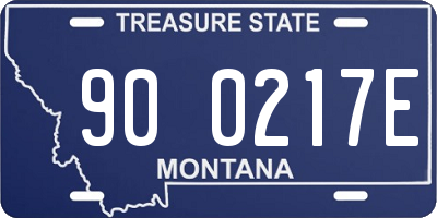 MT license plate 900217E