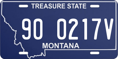 MT license plate 900217V