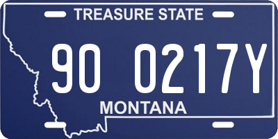 MT license plate 900217Y