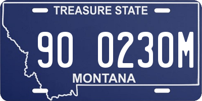 MT license plate 900230M