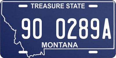 MT license plate 900289A