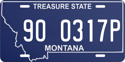 MT license plate 900317P