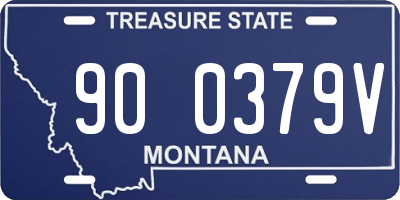 MT license plate 900379V
