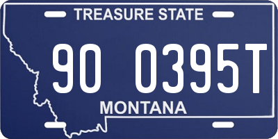 MT license plate 900395T