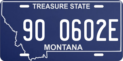 MT license plate 900602E