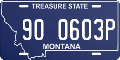 MT license plate 900603P