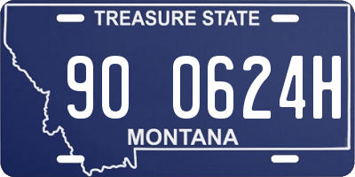 MT license plate 900624H