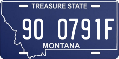 MT license plate 900791F