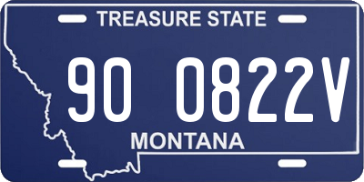 MT license plate 900822V