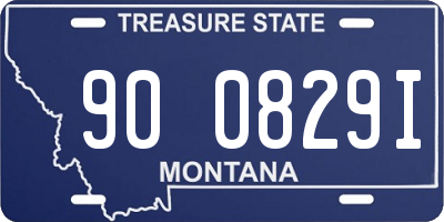 MT license plate 900829I