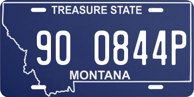 MT license plate 900844P