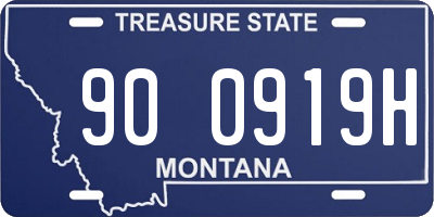 MT license plate 900919H