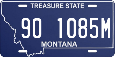 MT license plate 901085M
