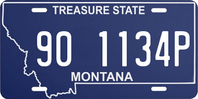MT license plate 901134P