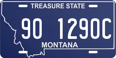 MT license plate 901290C