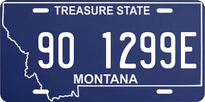 MT license plate 901299E