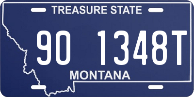 MT license plate 901348T