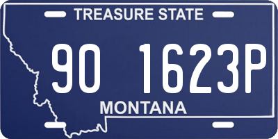 MT license plate 901623P