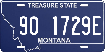 MT license plate 901729E