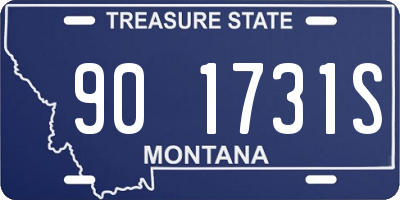 MT license plate 901731S