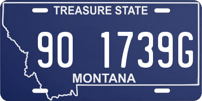 MT license plate 901739G