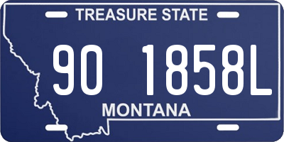 MT license plate 901858L