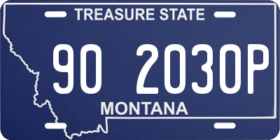 MT license plate 902030P