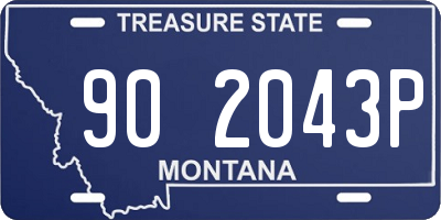MT license plate 902043P