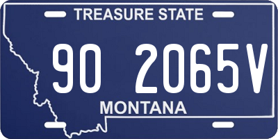 MT license plate 902065V