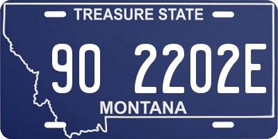 MT license plate 902202E