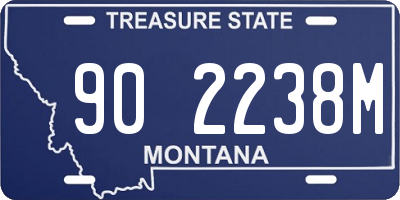 MT license plate 902238M