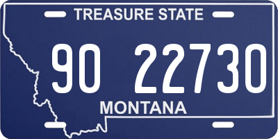 MT license plate 902273O
