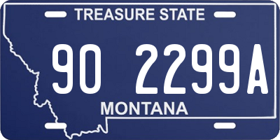 MT license plate 902299A