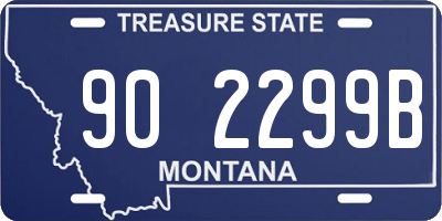 MT license plate 902299B