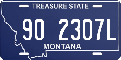 MT license plate 902307L