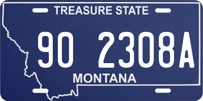 MT license plate 902308A