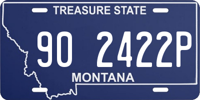 MT license plate 902422P