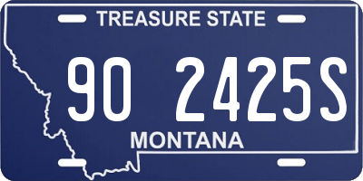 MT license plate 902425S