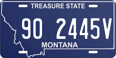 MT license plate 902445V