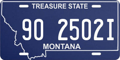 MT license plate 902502I