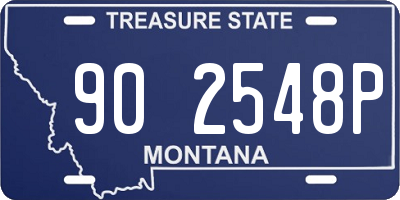 MT license plate 902548P